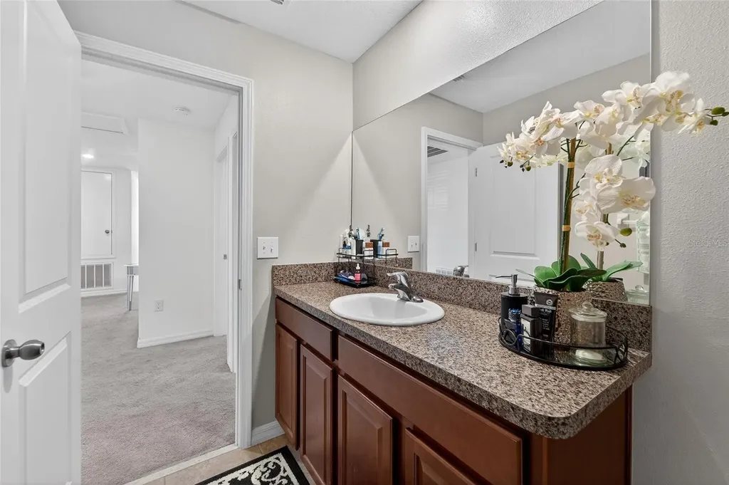 13209 Wildflower Meadow Drive Riverview FL 33579