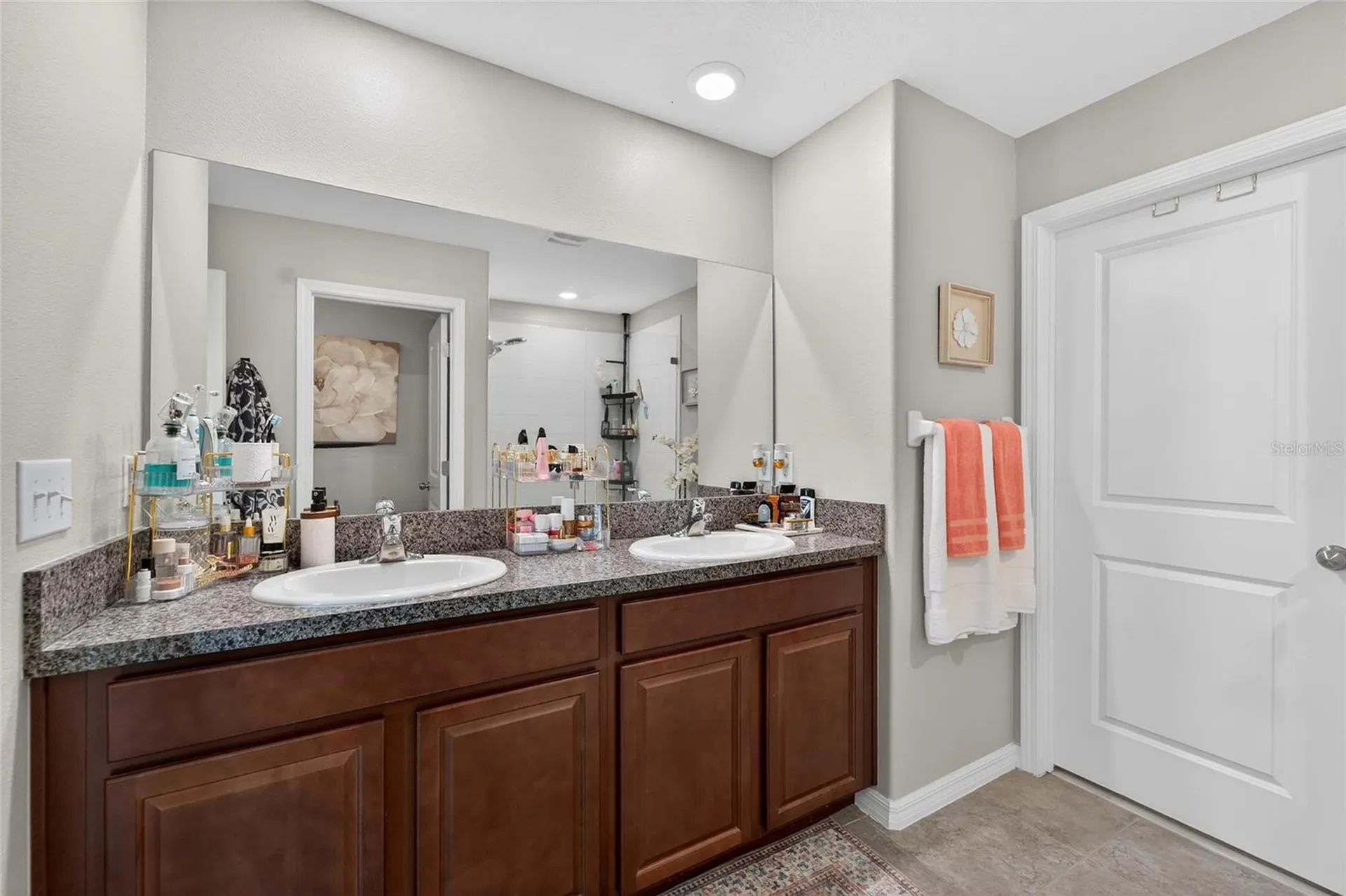 13209 Wildflower Meadow Drive Riverview FL 33579