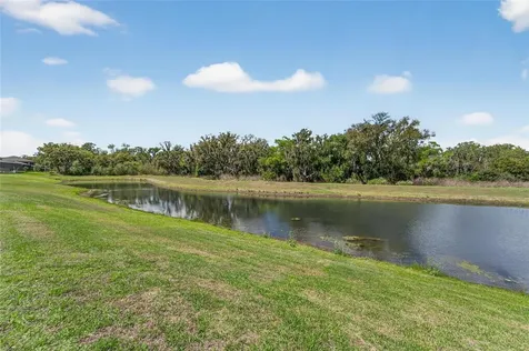 13209 Wildflower Meadow Drive Riverview FL 33579