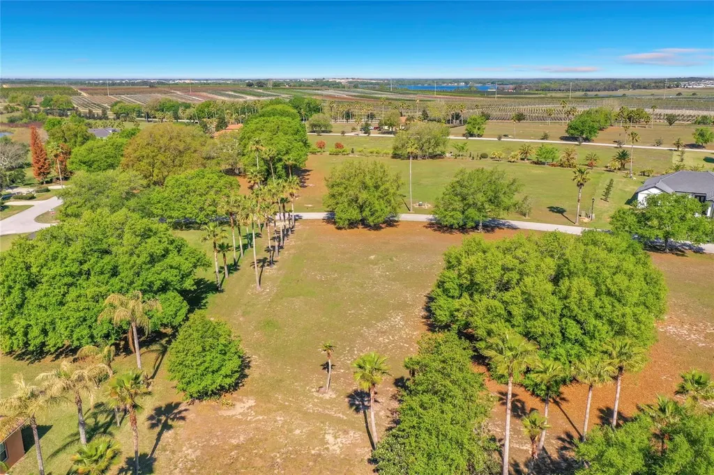 Marigold Street Groveland FL 34736