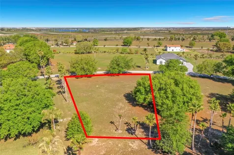 Marigold Street Groveland FL 34736