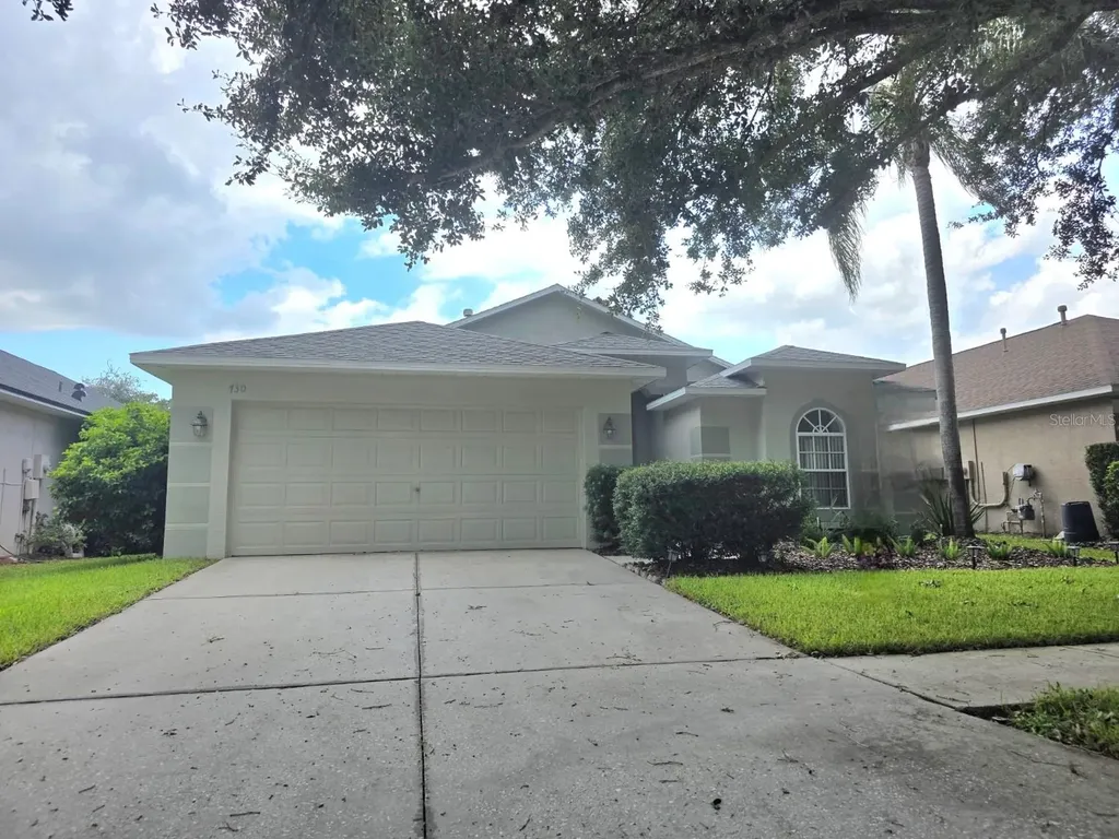 730 Straw Lake Drive Brandon FL 33510