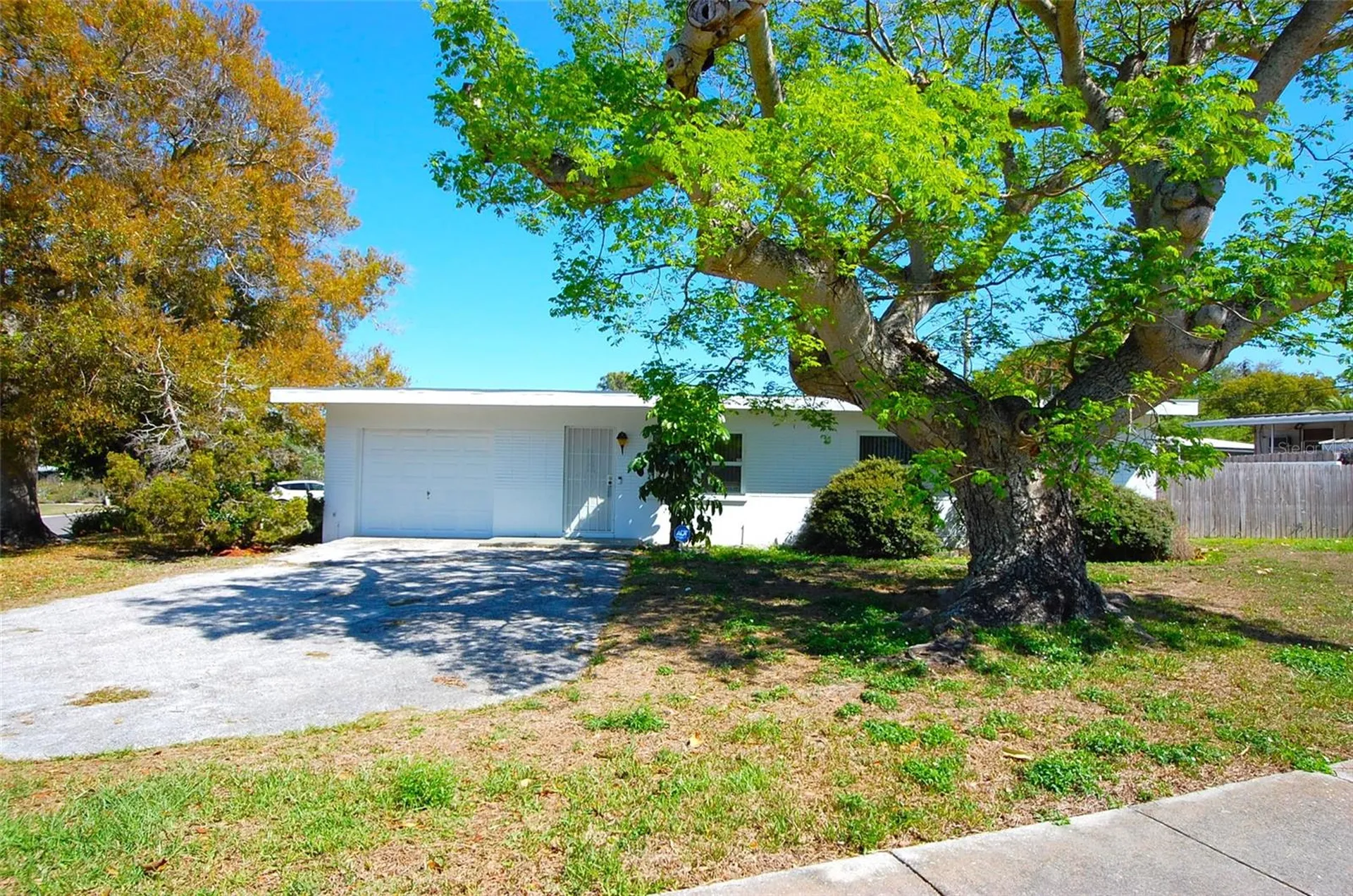 1201 S Betty Lane Clearwater FL 33756
