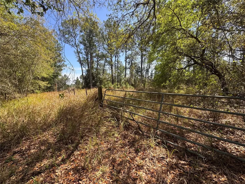 Coffee Creek Lane Groveland FL 34736