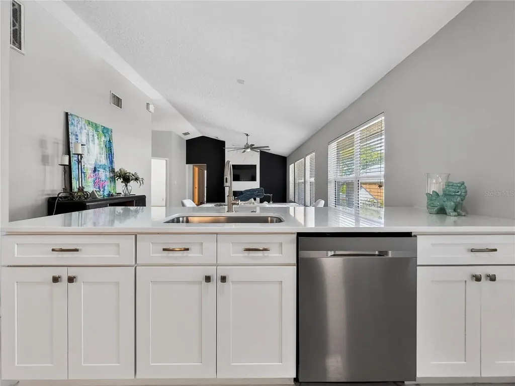 603 Chautauqua Drive Mount Dora FL 32757