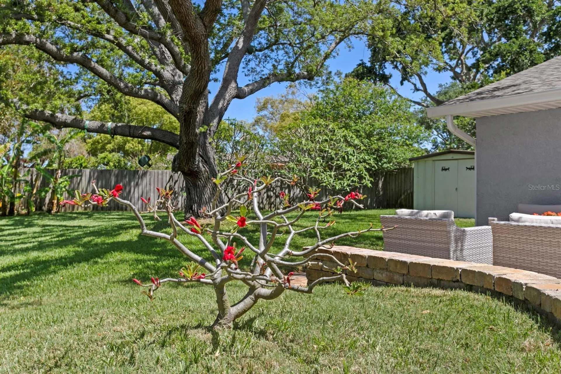 8645 Pinetree Drive W Seminole FL 33772