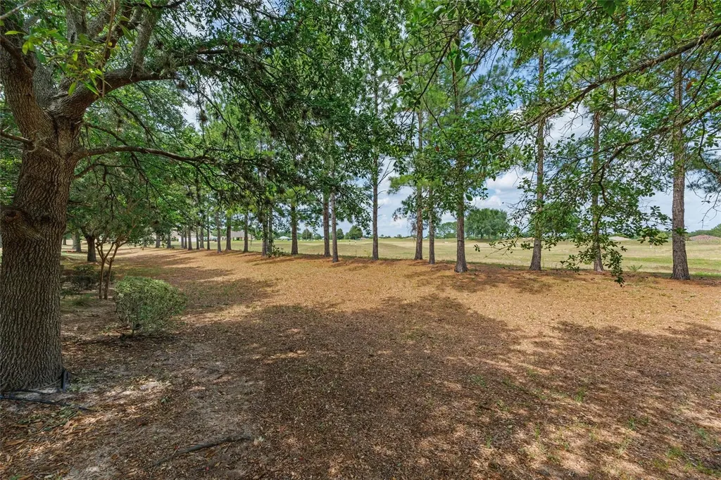 1429 SW 160th Lane Ocala FL 34473