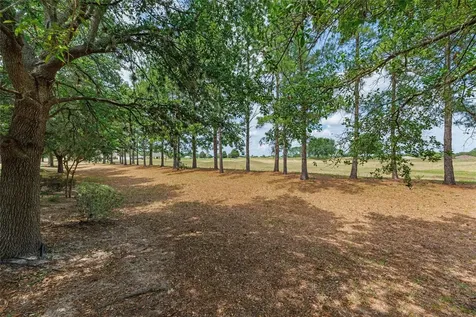 1429 SW 160th Lane Ocala FL 34473