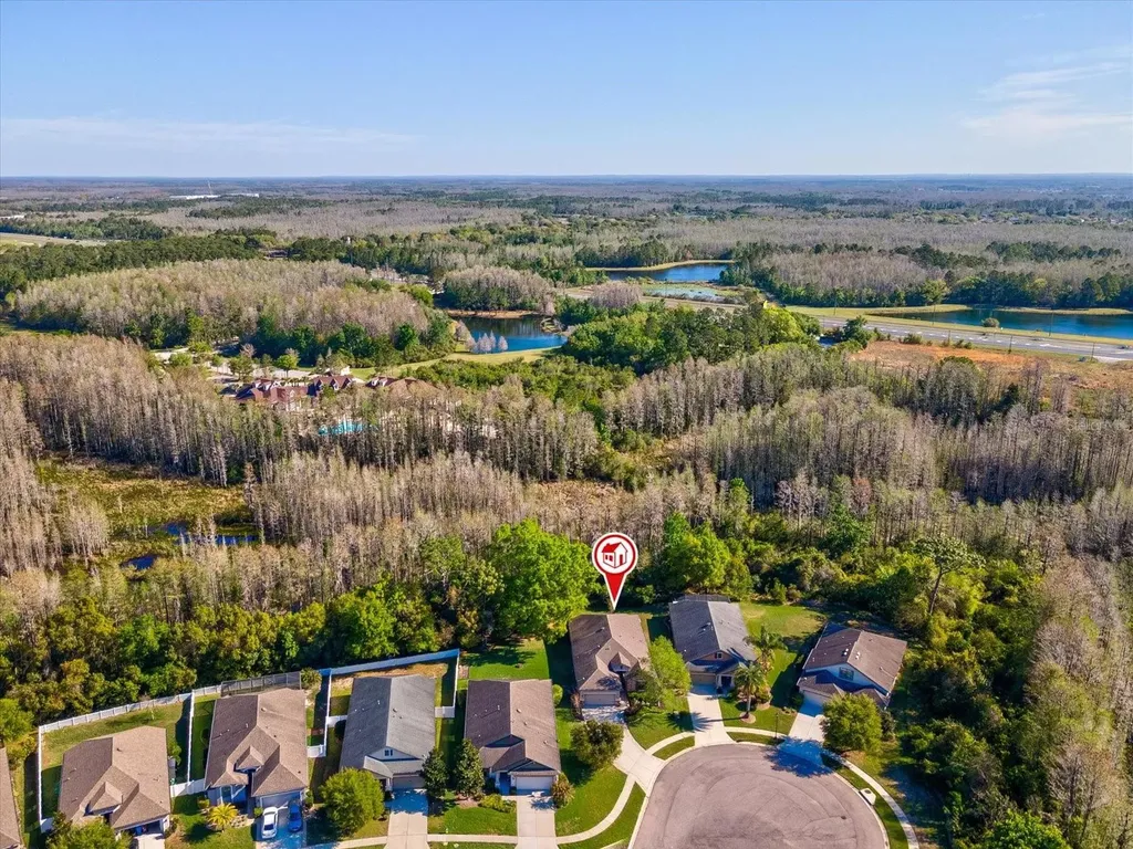 8531 May Port Court Land O Lakes FL 34638