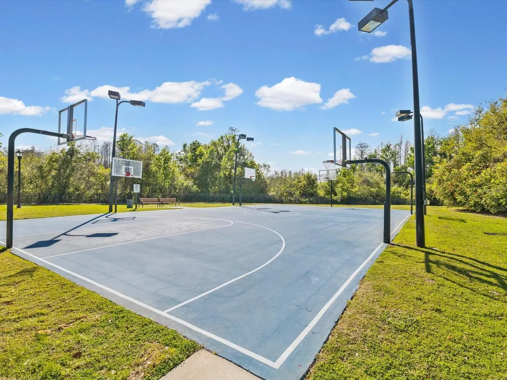 8531 May Port Court Land O Lakes FL 34638