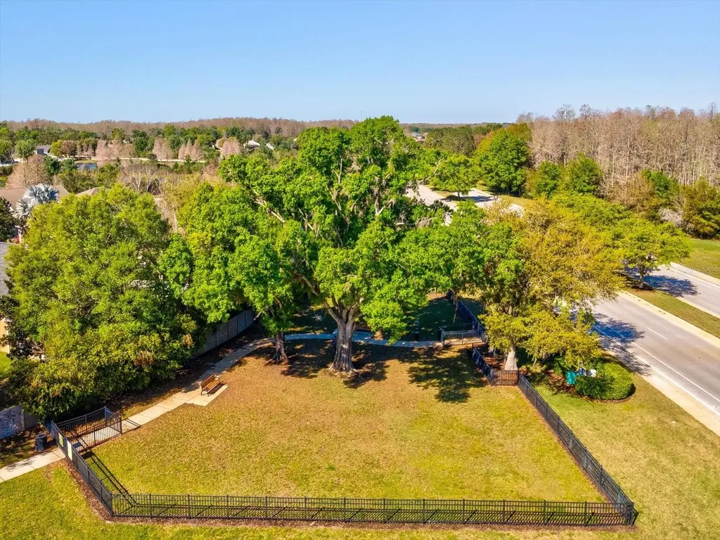 8531 May Port Court Land O Lakes FL 34638