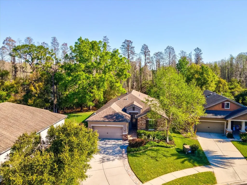 8531 May Port Court Land O Lakes FL 34638