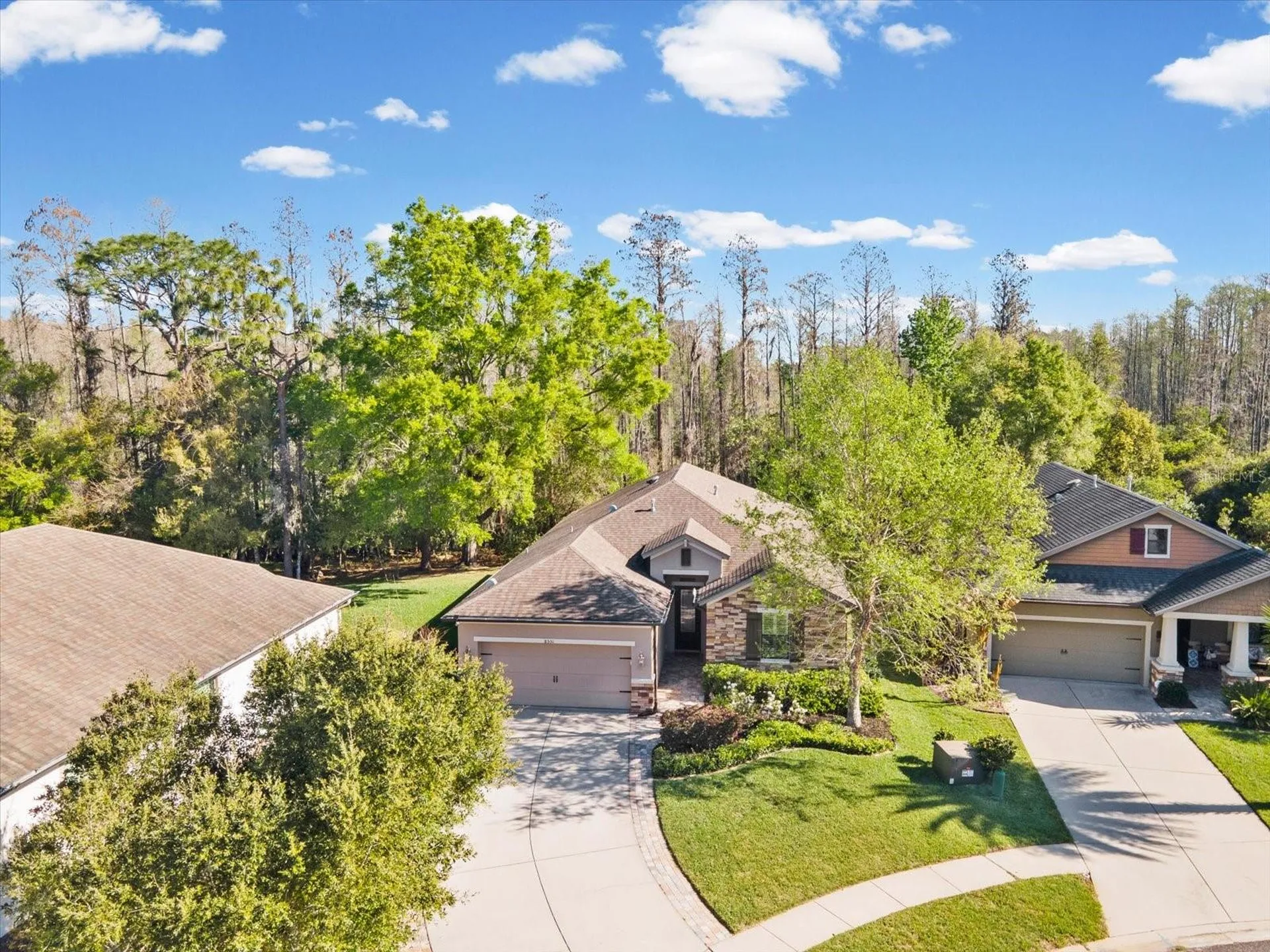 8531 May Port Court Land O Lakes FL 34638