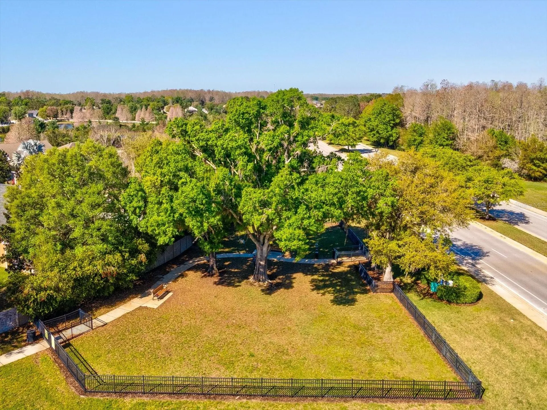8531 May Port Court Land O Lakes FL 34638