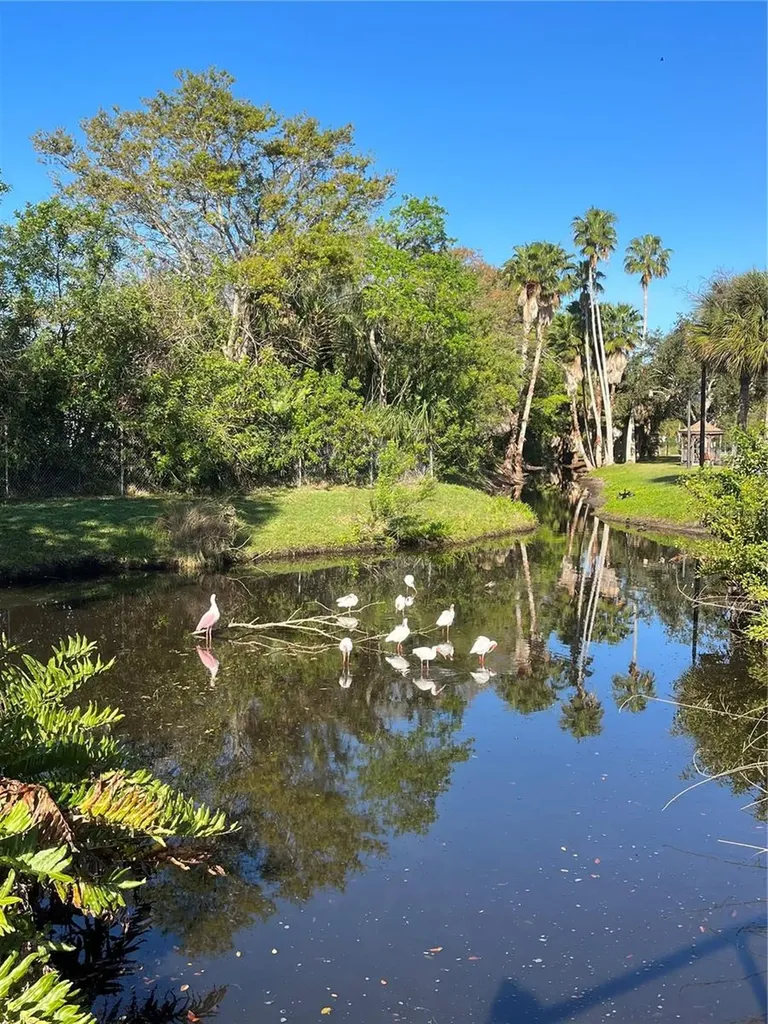 3128 59th Street S Gulfport FL 33707