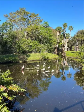 3128 59th Street S Gulfport FL 33707