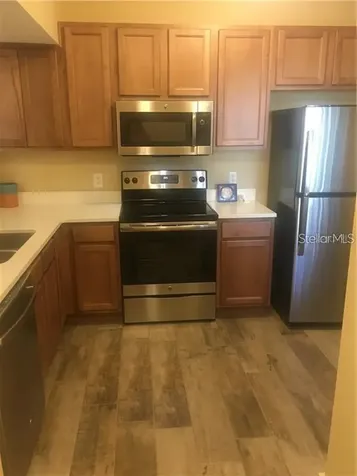 1231 Godavari Way Wesley Chapel FL 33543