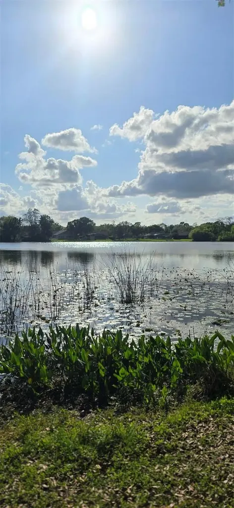 145 Thornberry Drive Casselberry FL 32707