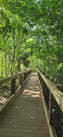 145 Thornberry Drive Casselberry FL 32707