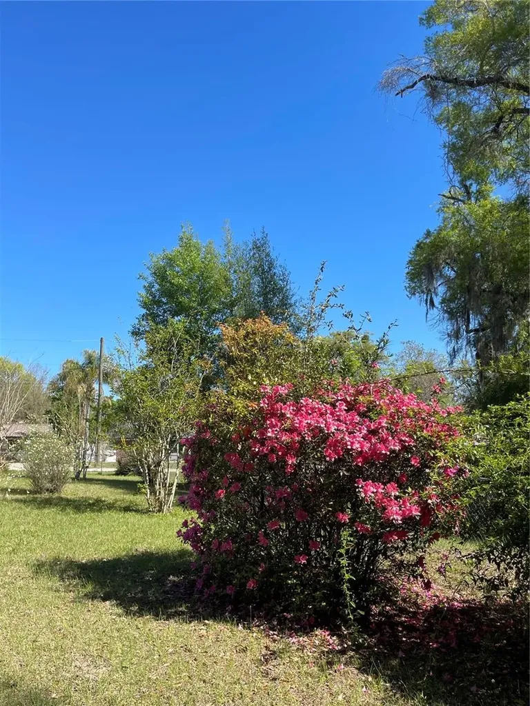 906 E Michigan Avenue Deland FL 32724