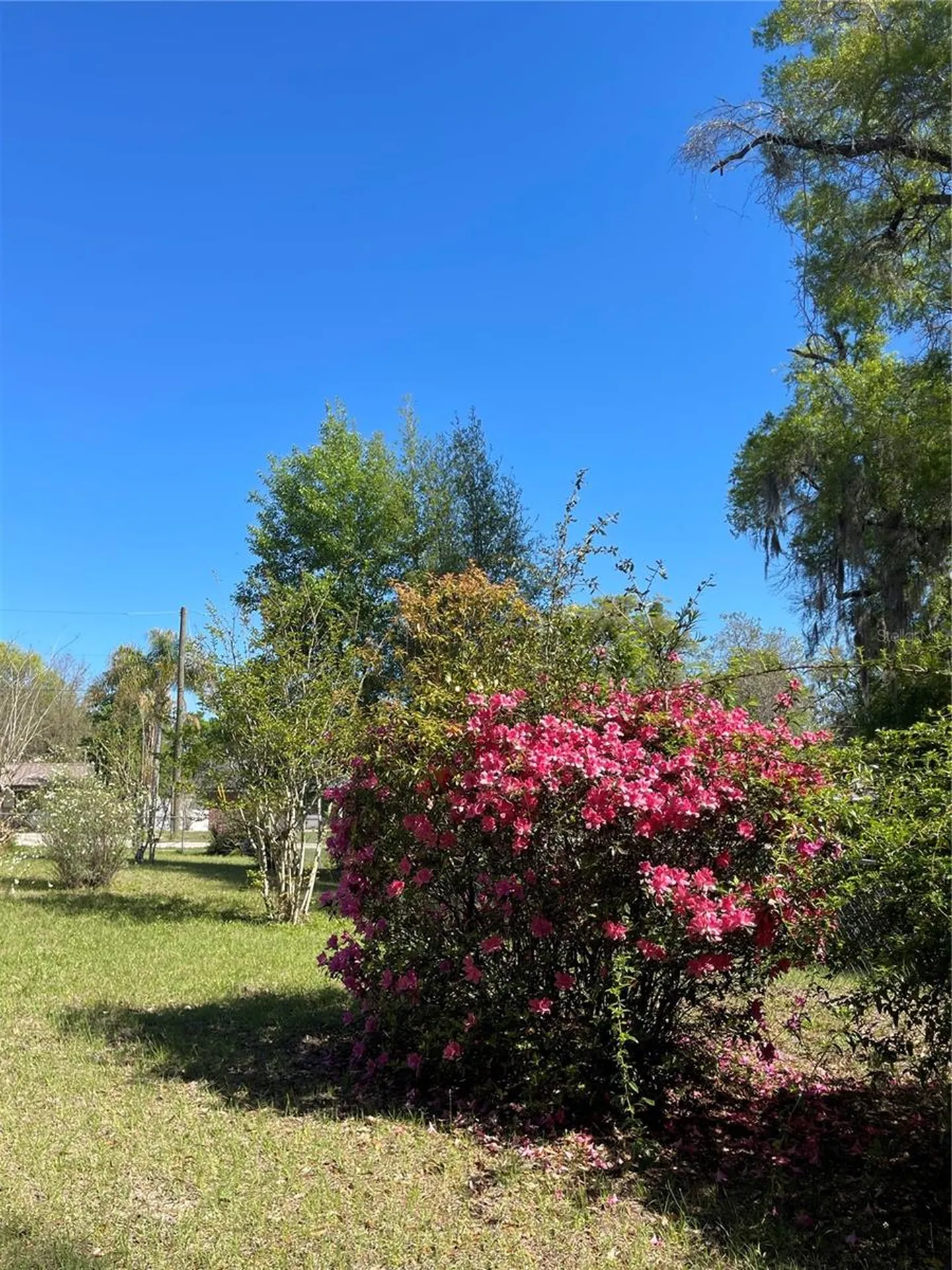 906 E Michigan Avenue Deland FL 32724