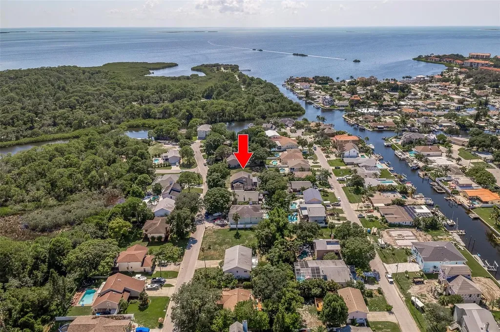 14 Baywood Drive Palm Harbor FL 34683