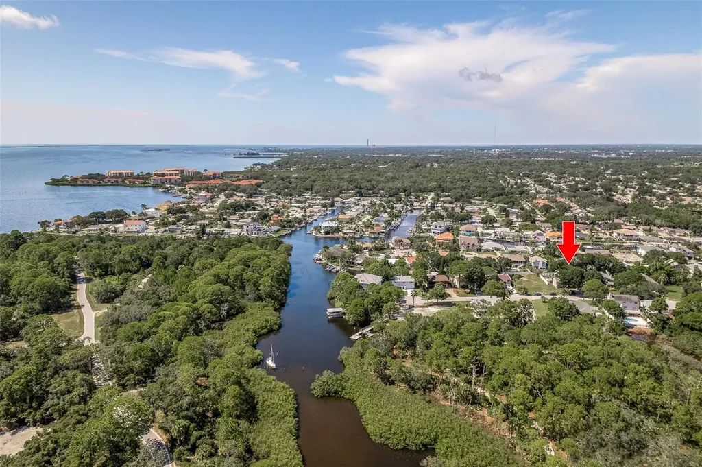 14 Baywood Drive Palm Harbor FL 34683