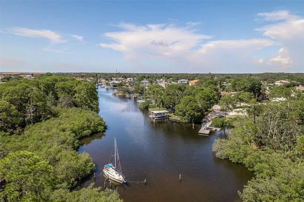 14 Baywood Drive Palm Harbor FL 34683