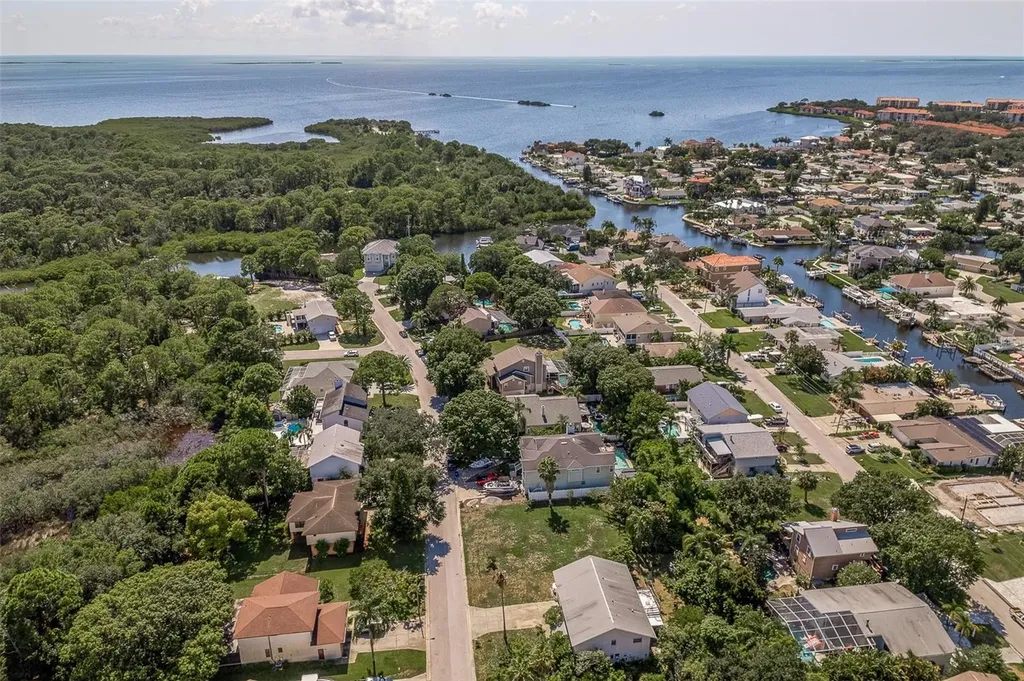 14 Baywood Drive Palm Harbor FL 34683