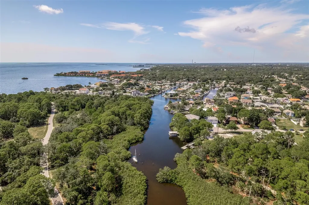 14 Baywood Drive Palm Harbor FL 34683
