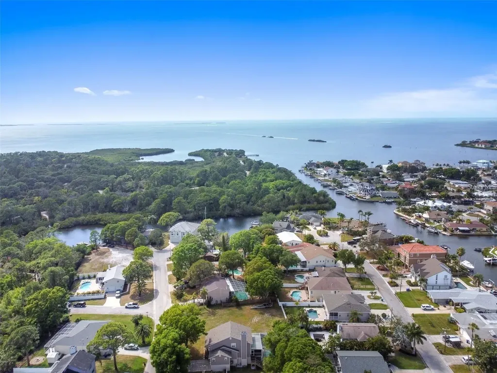 14 Baywood Drive Palm Harbor FL 34683