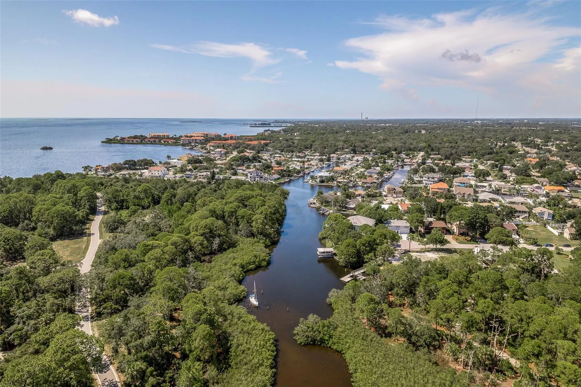 14 Baywood Drive Palm Harbor FL 34683
