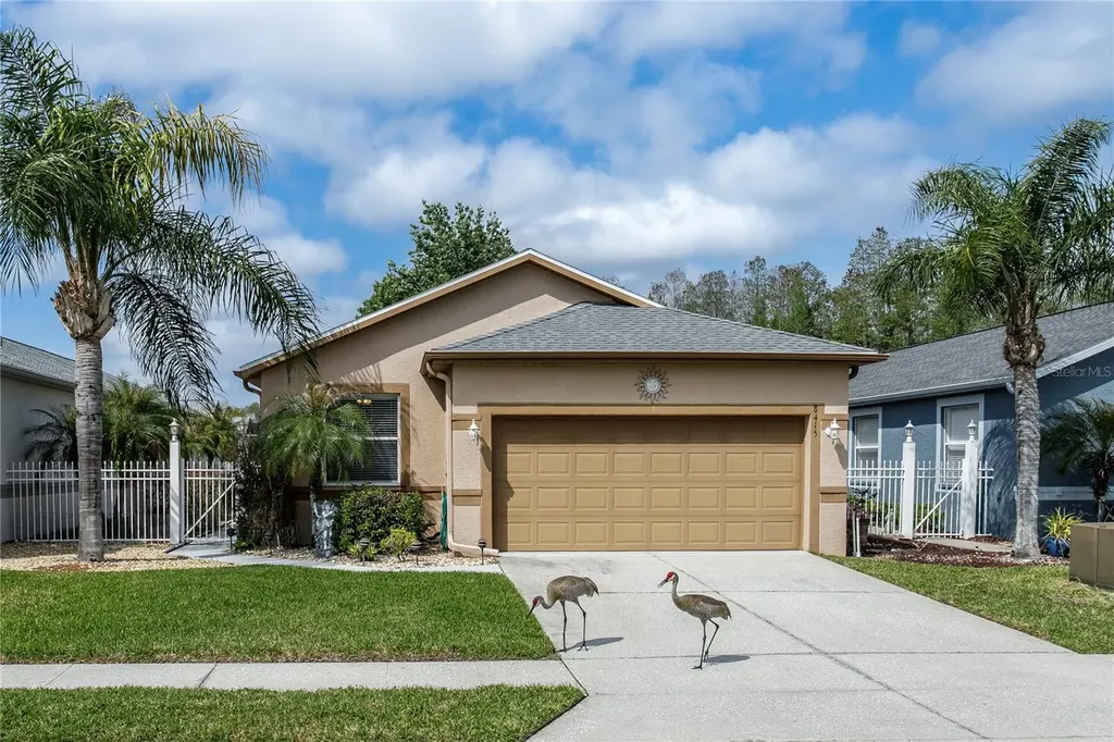 8415 Tarocco Court Land O Lakes FL 34637