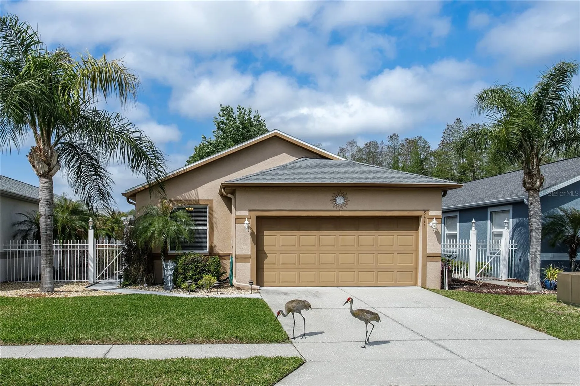 8415 Tarocco Court Land O Lakes FL 34637