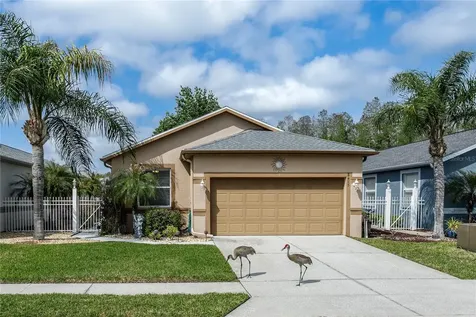 8415 Tarocco Court Land O Lakes FL 34637