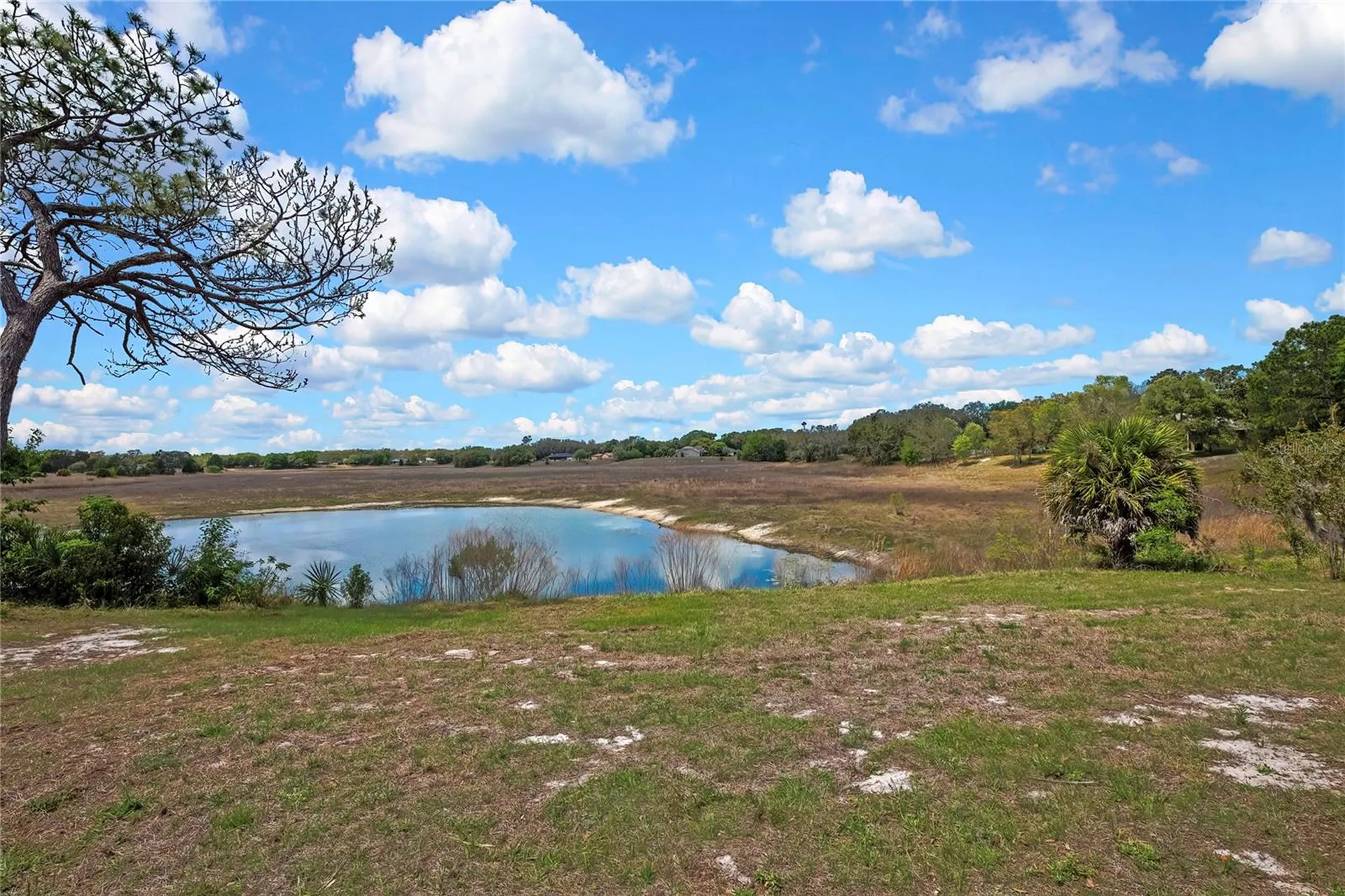 1021 Waterfall Drive Spring Hill FL 34608