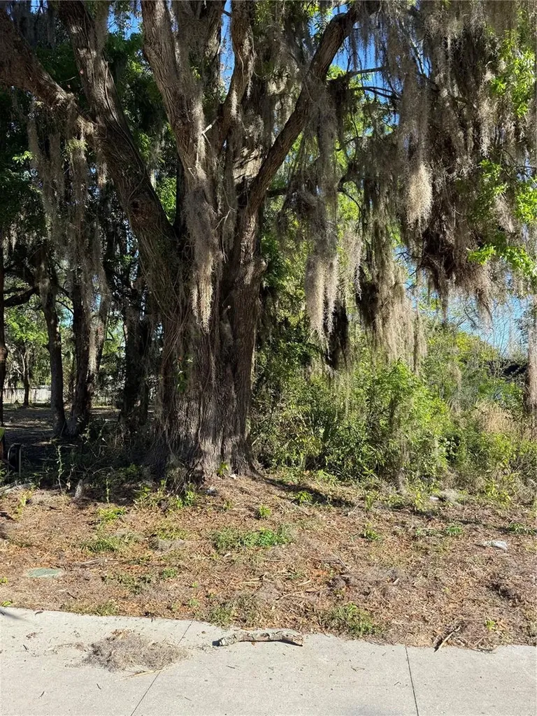 3RD Street Ocala FL 34471