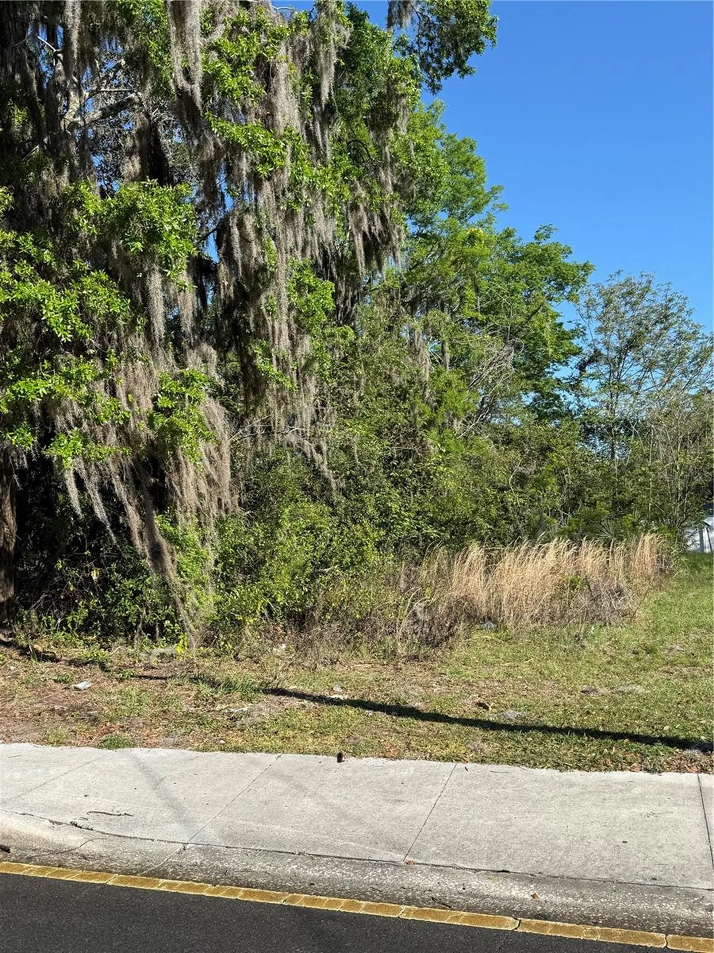 3RD Street Ocala FL 34471