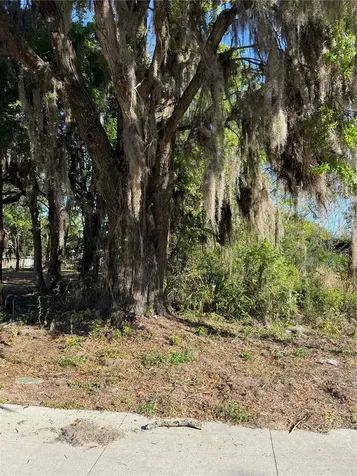 3RD Street Ocala FL 34471
