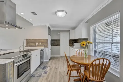 1735 Lakeview Village Drive Brandon FL 33510