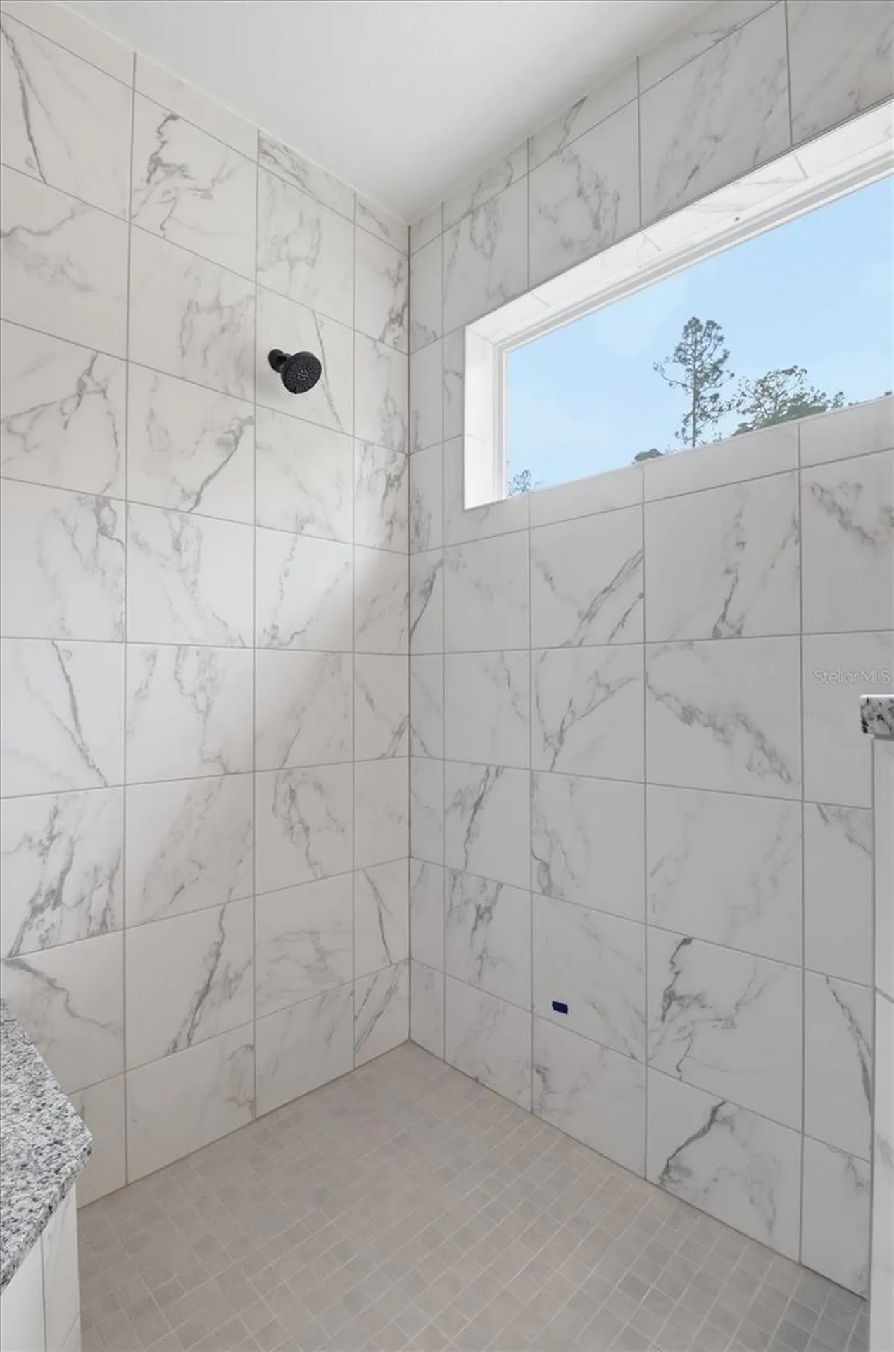 8760 N Vince Drive Dunnellon FL 34434