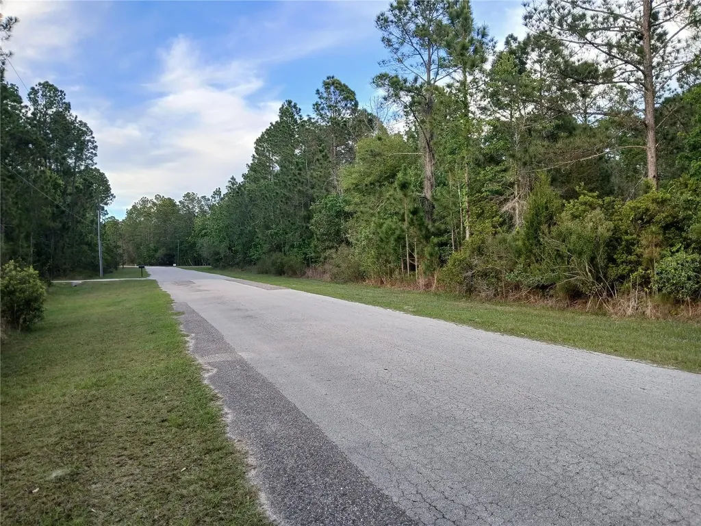 1102 Hidden Palms Drive Davenport FL 33897
