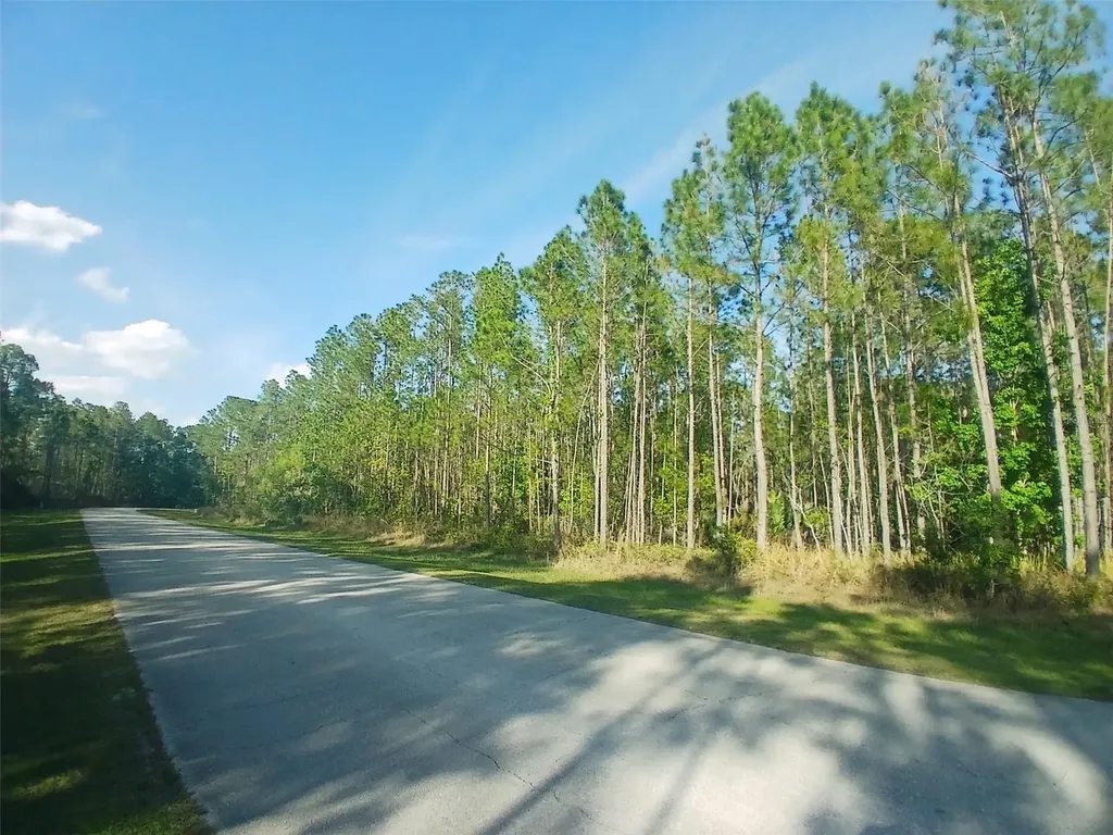 1102 Hidden Palms Drive Davenport FL 33897