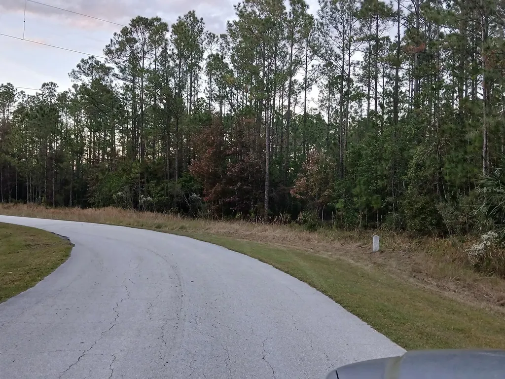 1102 Hidden Palms Drive Davenport FL 33897