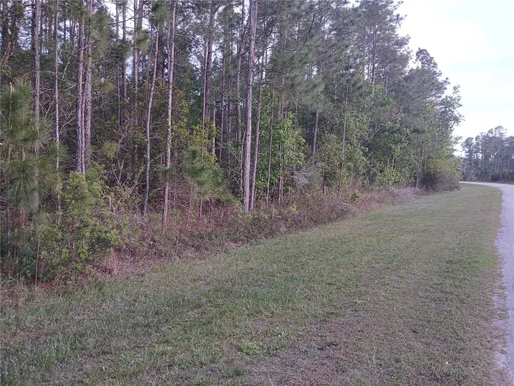 1102 Hidden Palms Drive Davenport FL 33897