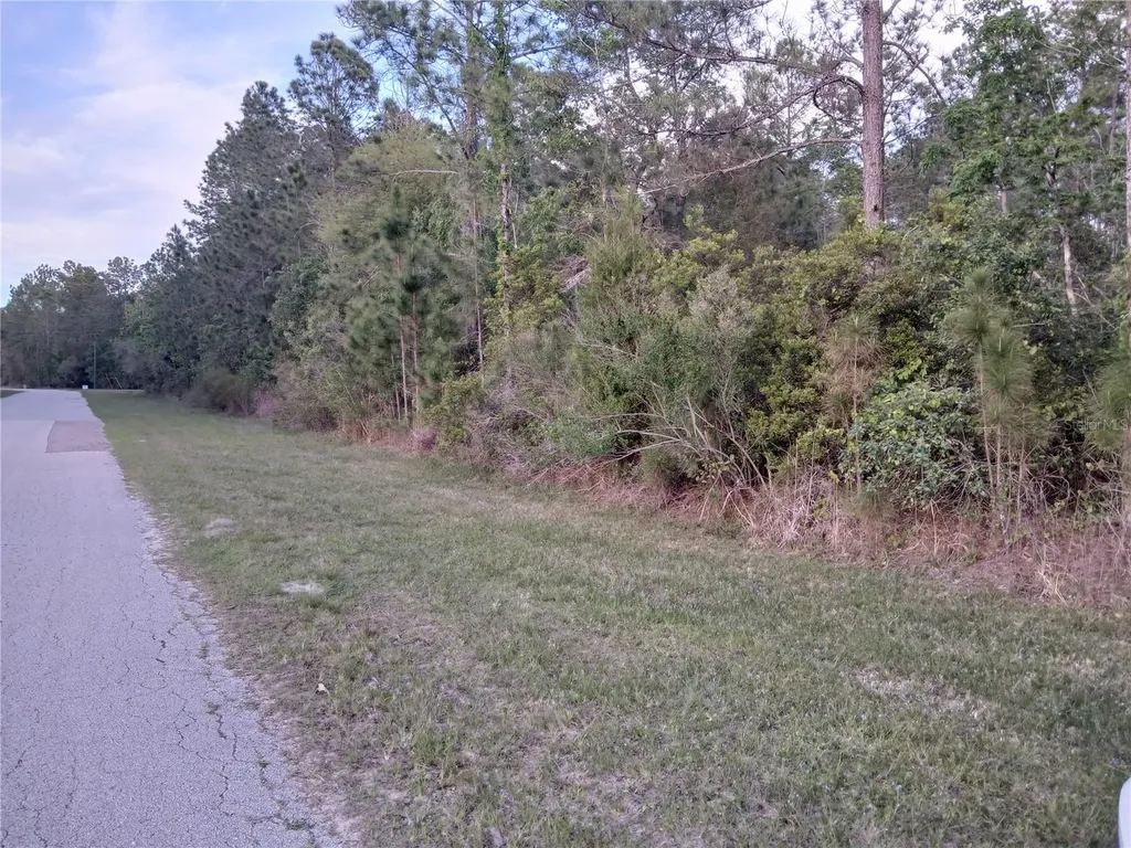 1102 Hidden Palms Drive Davenport FL 33897