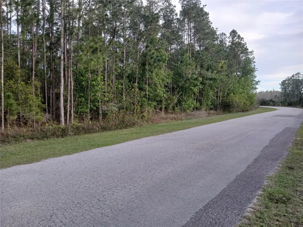 1102 Hidden Palms Drive Davenport FL 33897
