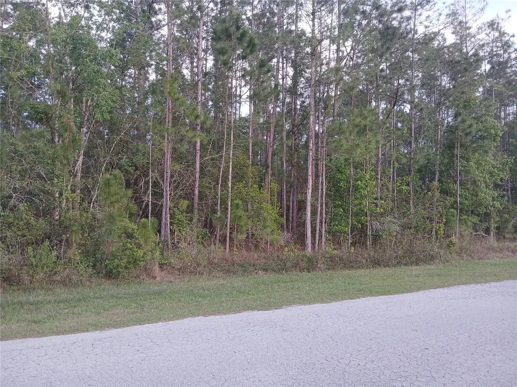 1102 Hidden Palms Drive Davenport FL 33897