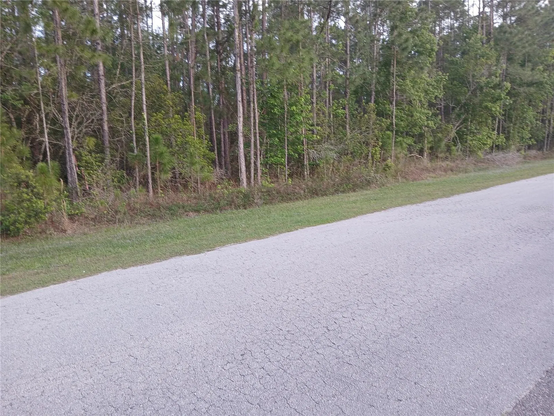 1102 Hidden Palms Drive Davenport FL 33897