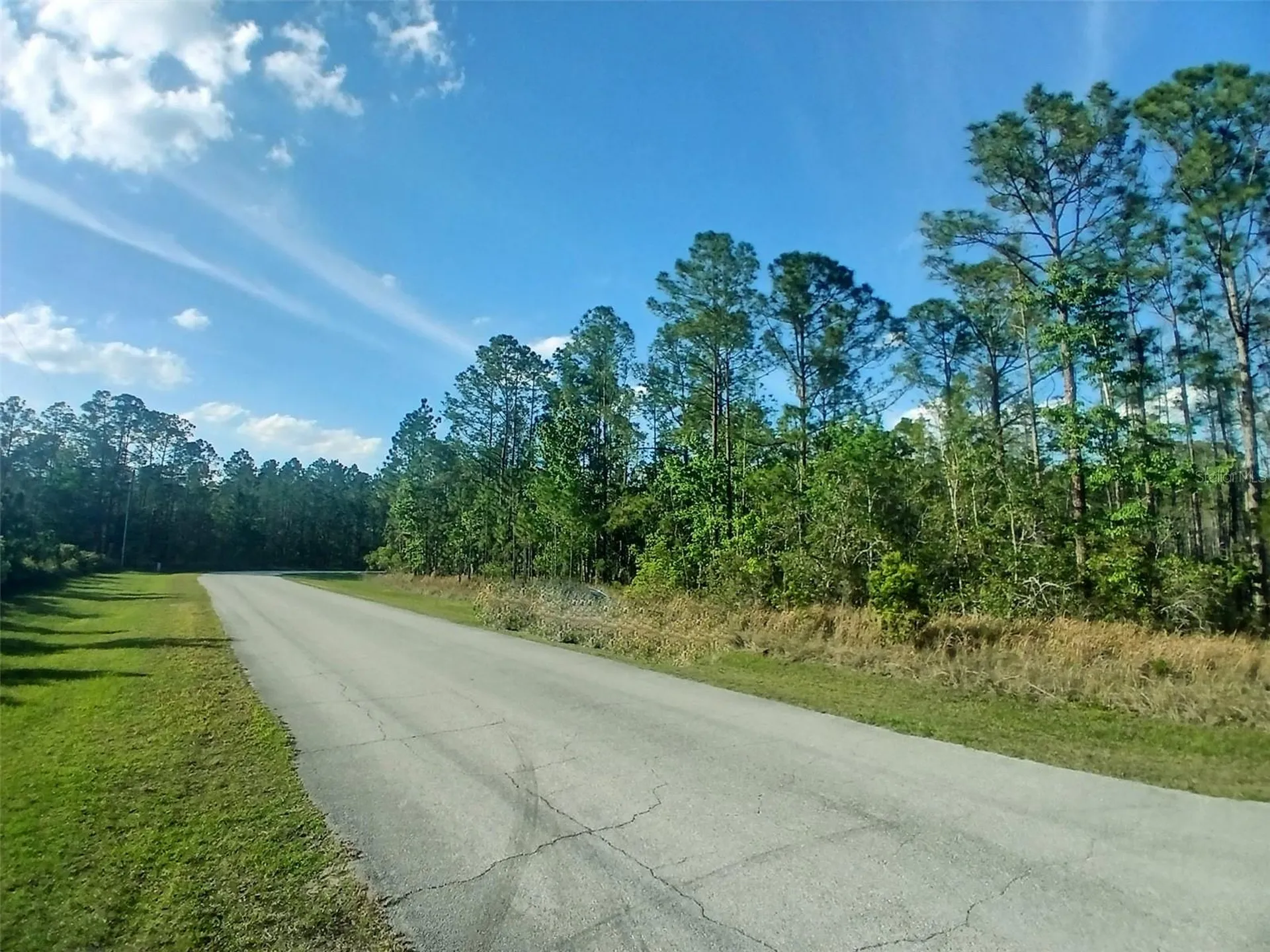1102 Hidden Palms Drive Davenport FL 33897
